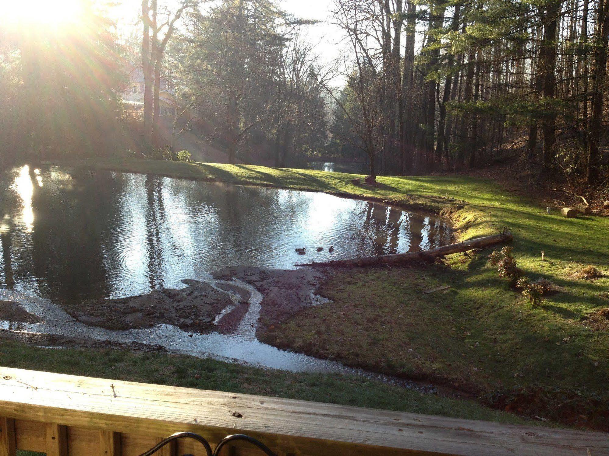 The Yellow House On Plott Creek ウェインズビル エクステリア 写真
