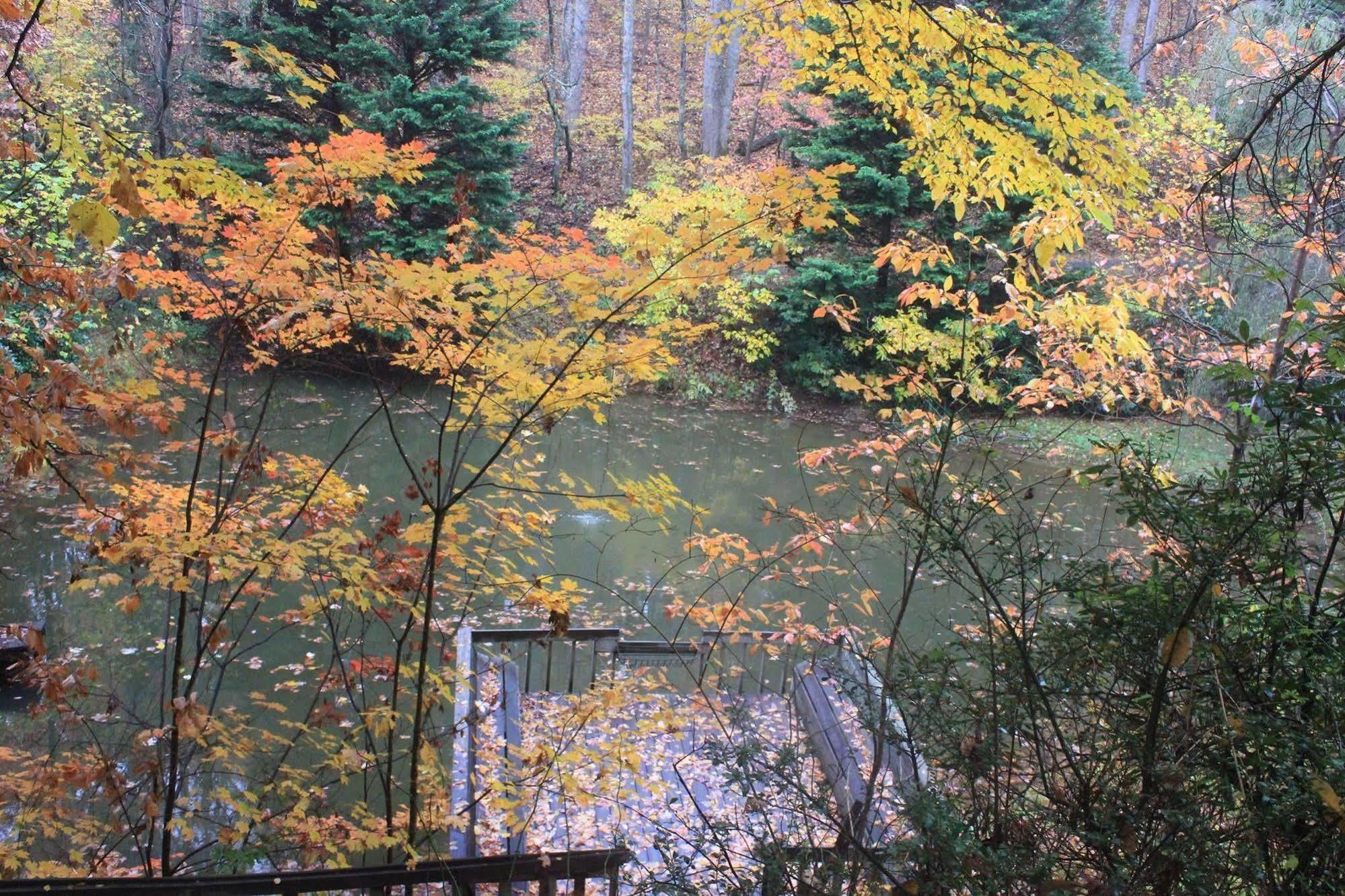 The Yellow House On Plott Creek ウェインズビル エクステリア 写真