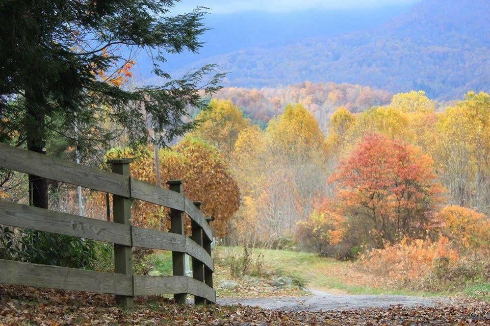 The Yellow House On Plott Creek ウェインズビル エクステリア 写真
